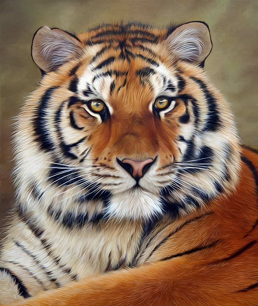 Tiger Portrait Cross Stitch Kits