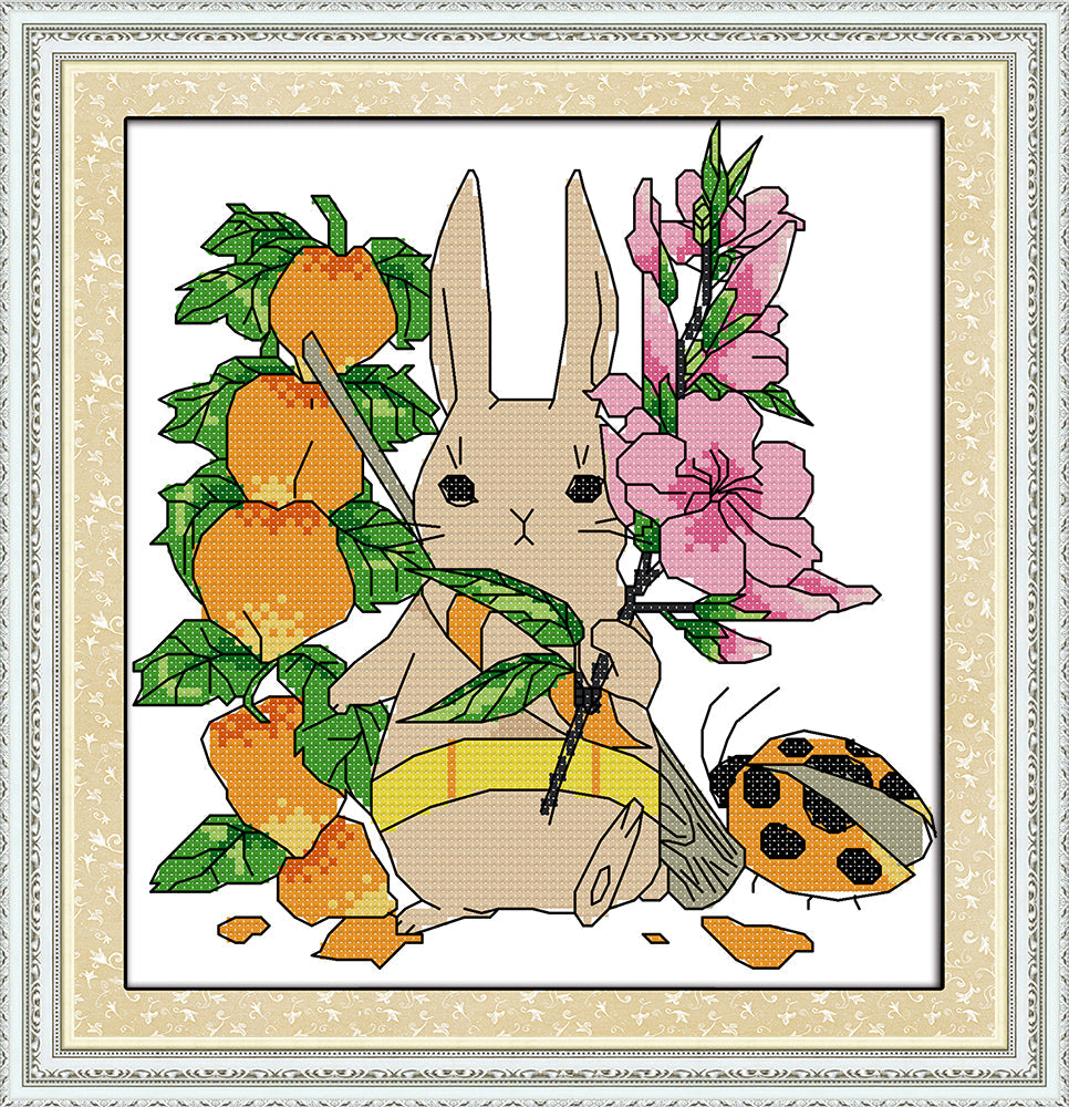 Rabbit Cross Stitch Kits C575