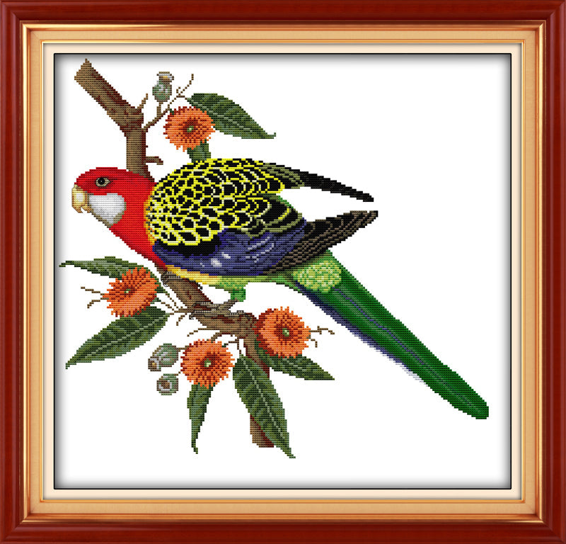 Bird Cross Stitch Kits D201