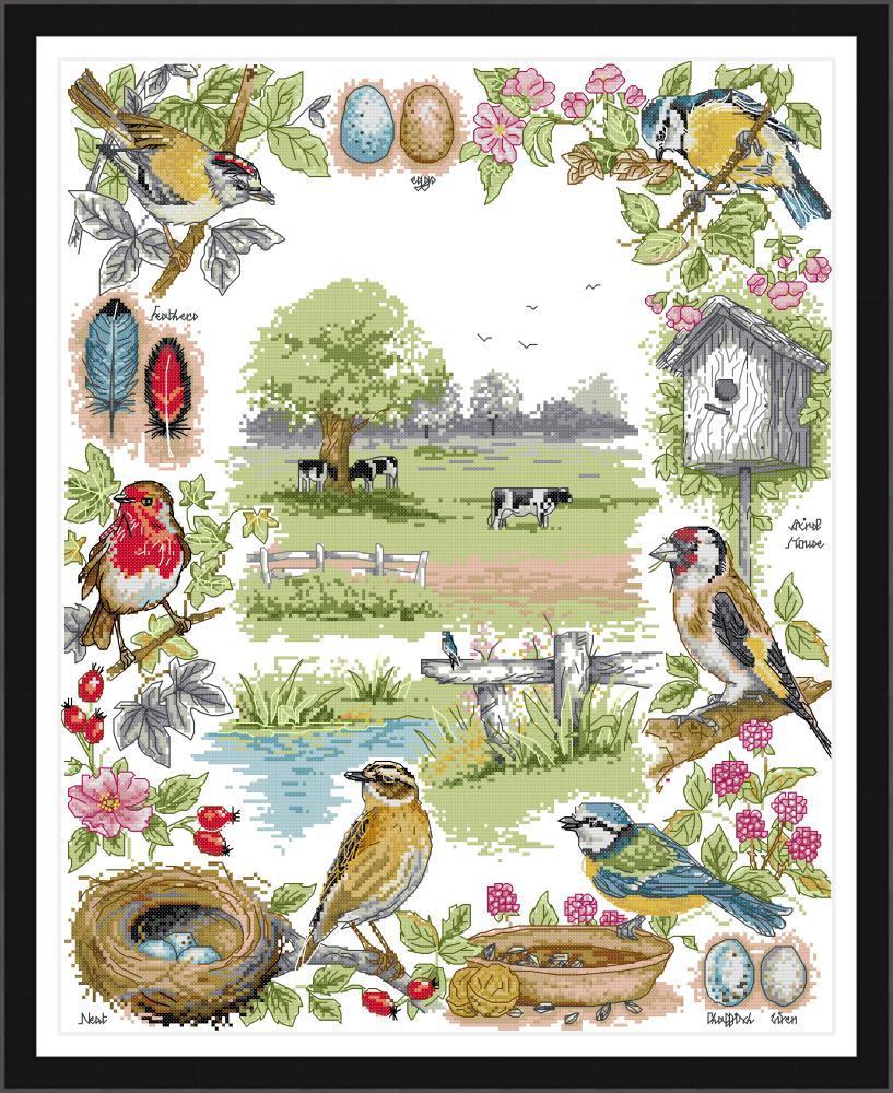 Bird Cross Stitch Kits DA302