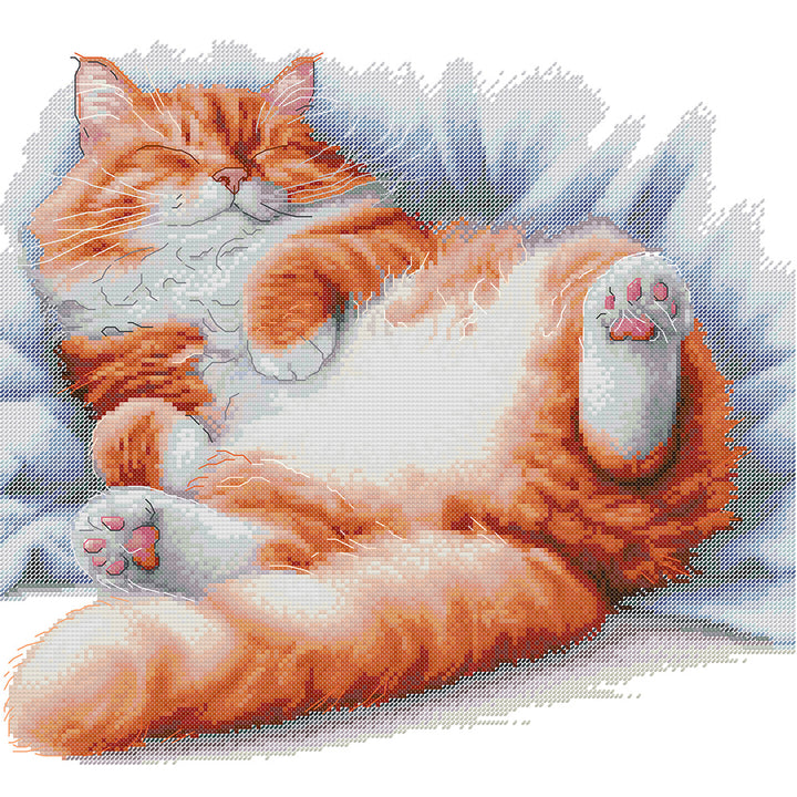 Sleeping Orange Cat Cross Stitch Kits