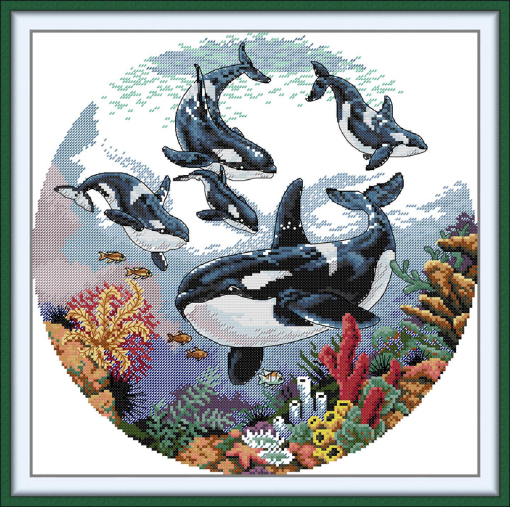 Killer Whale Cross Stitch Kits