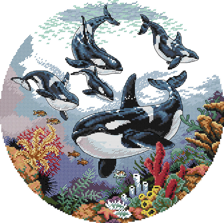 Killer Whale Cross Stitch Kits