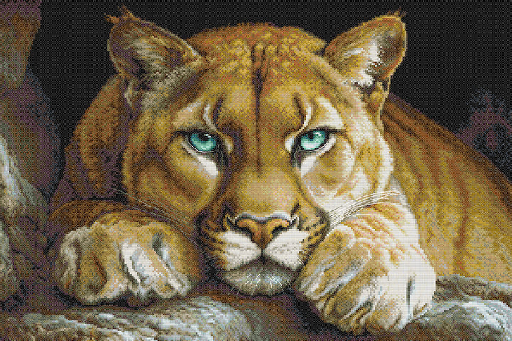 Resting Cougar Cross Stitch Kits