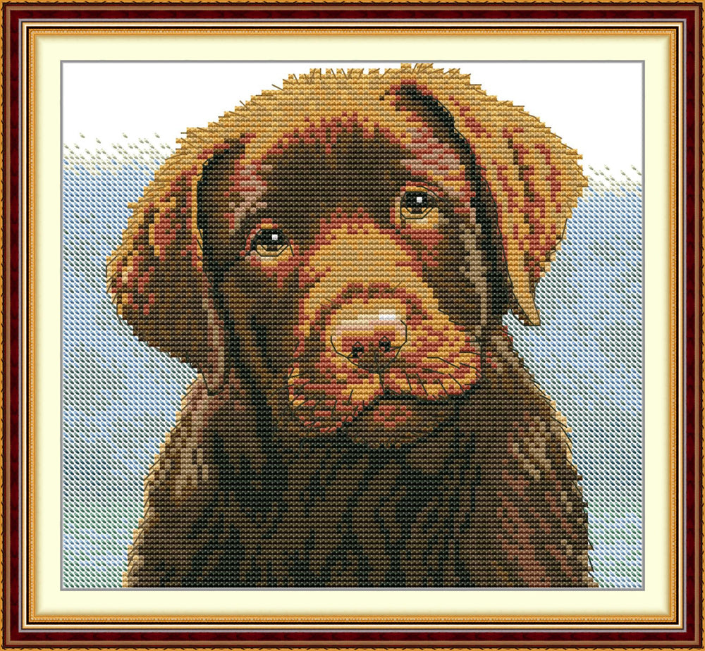 Brown Puppy Cross Stitch Kits