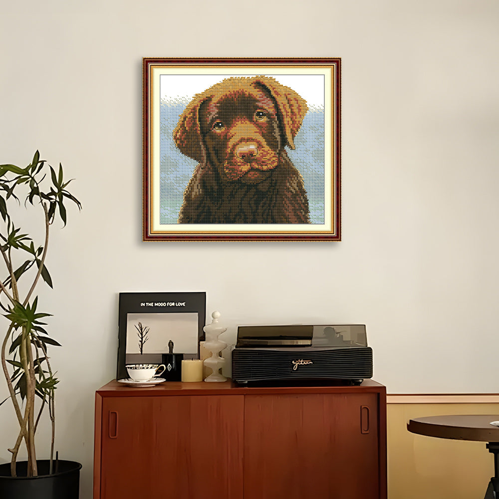 Brown Puppy Cross Stitch Kits