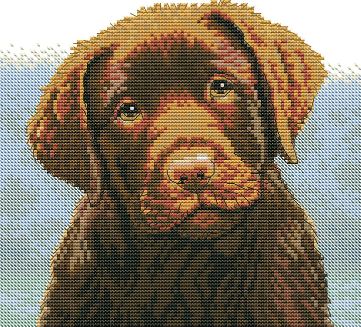 Brown Puppy Cross Stitch Kits