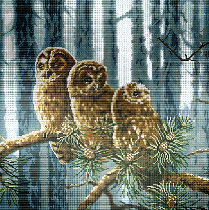 A Family of Owls Cross Stitch Kits