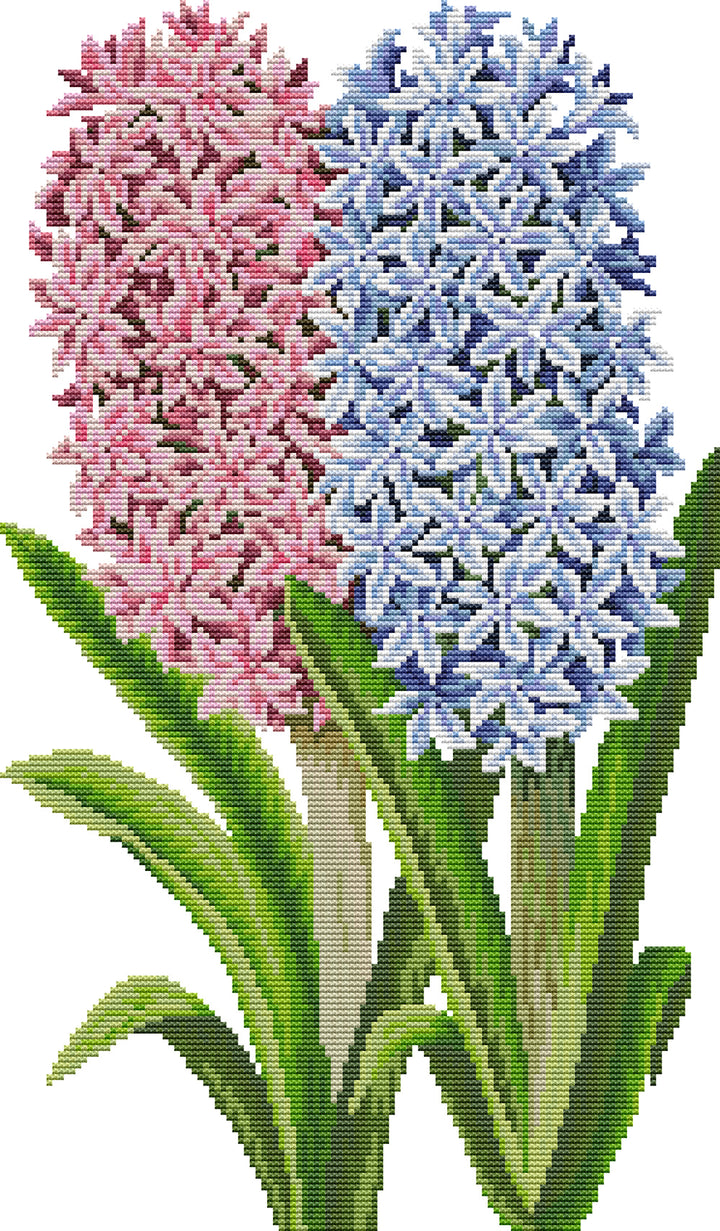 Pink and Blue Hyacinth Cross Stitch Kits