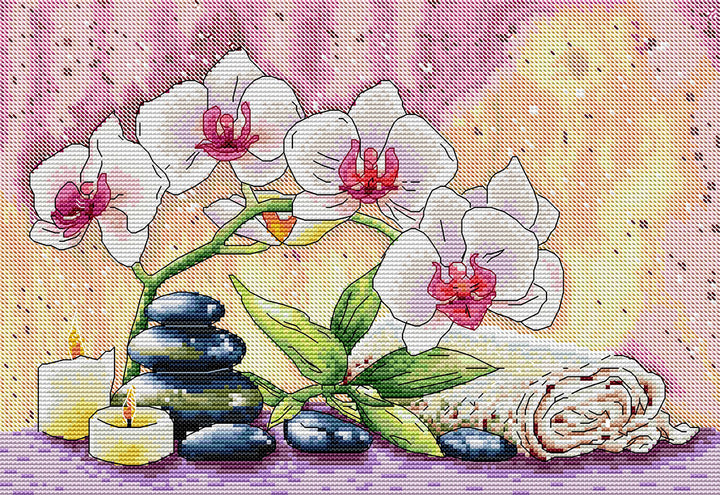 Four Phalaenopsis Orchids Cross Stitch Kits
