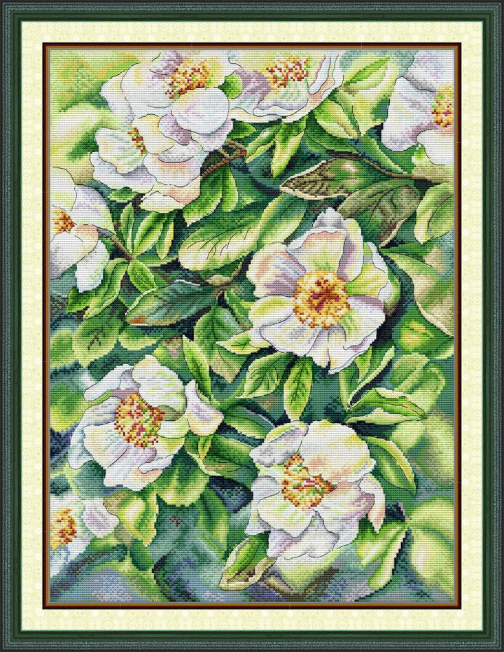 White Rosehip Cross Stitch Kits