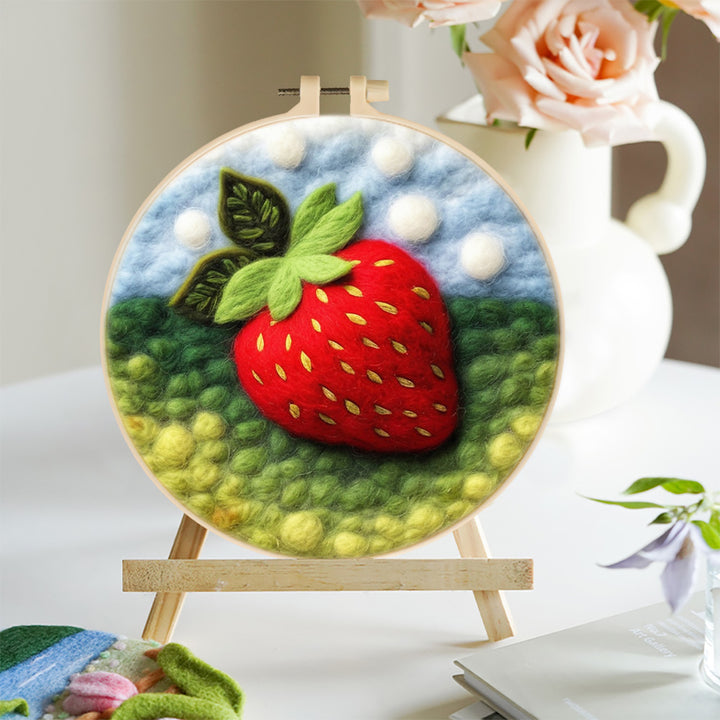 A Sweet Red Strawberry Wool Needle Felting Painting Kit