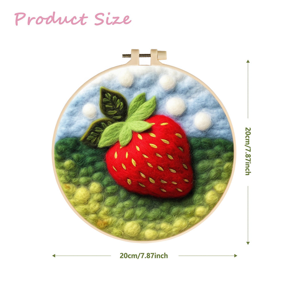 A Sweet Red Strawberry Wool Needle Felting Painting Kit