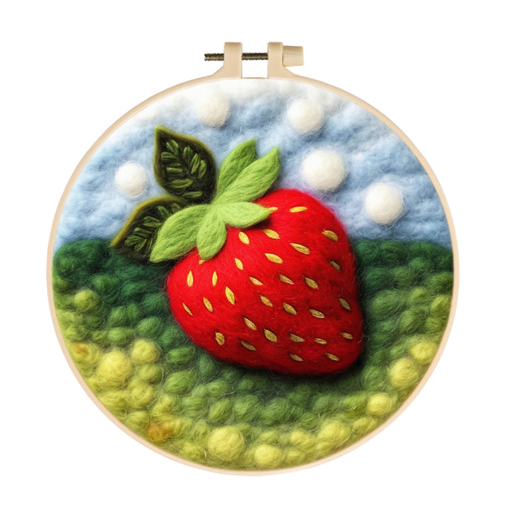 A Sweet Red Strawberry Wool Needle Felting Painting Kit