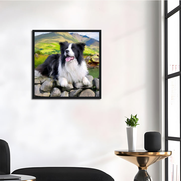 Border Collie in the Field Cross Stitch Kits