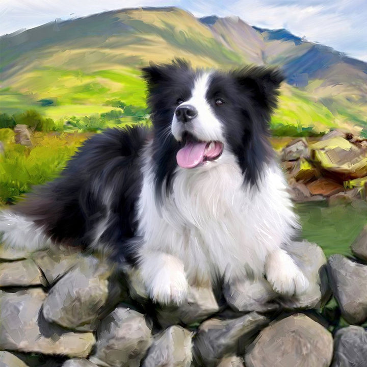 Border Collie in the Field Cross Stitch Kits