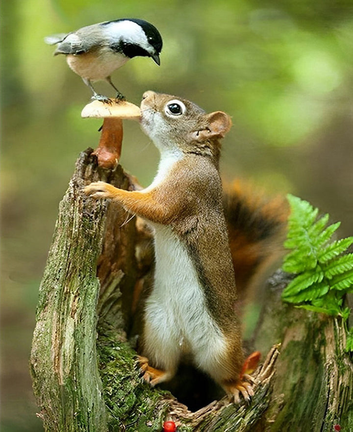 Standing Little Squirrel Cross Stitch Kits