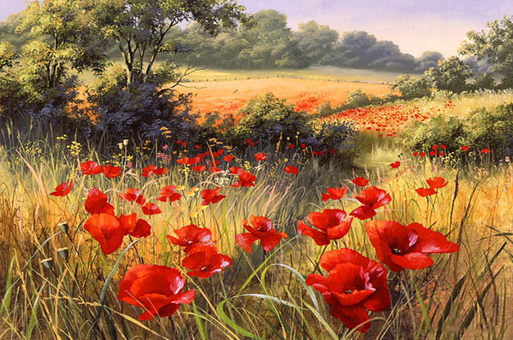 Crimson Flowers Drift in Sunlight Cross Stitch Kits