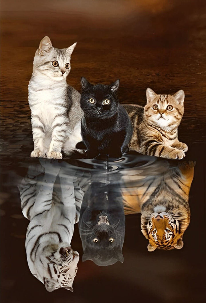 Cats Gaze as Reflections Shift Cross Stitch Kits