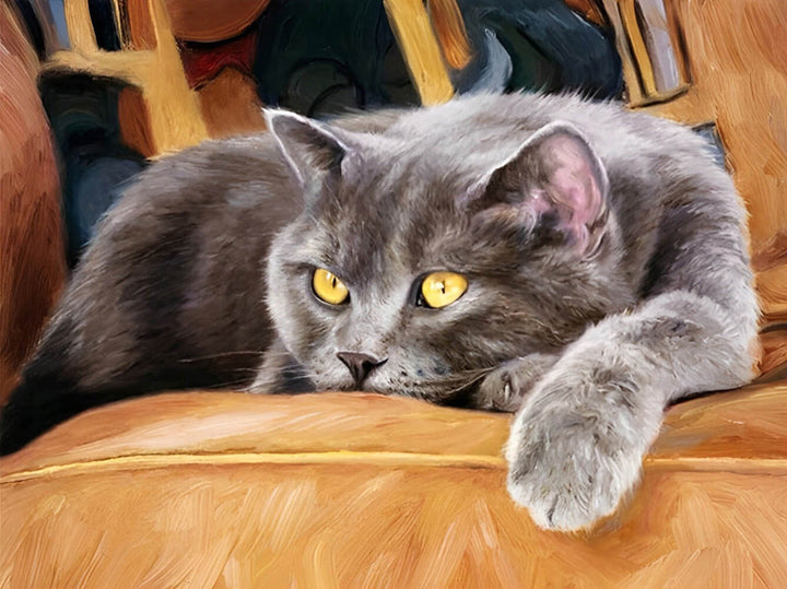 Gray Cat Rests on Leather Couch Cross Stitch Kits