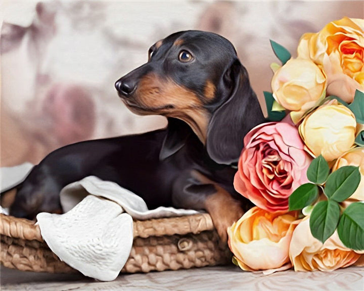 Dachshund Rests amidst Flowers Cross Stitch Kits
