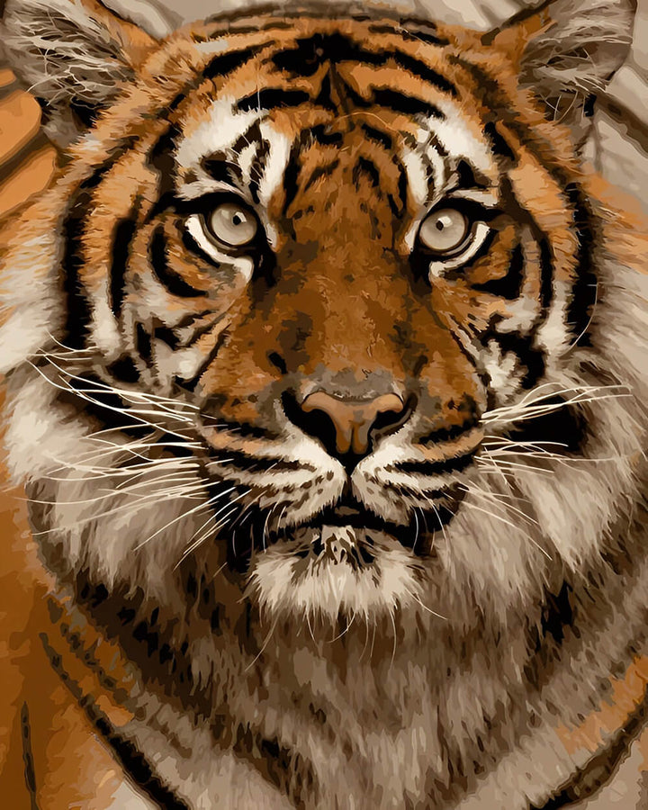 Tiger Stares Intently Forward Cross Stitch Kits