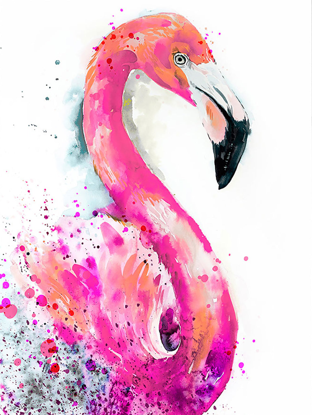 Vivid Hues Frame Vibrant Bird Cross Stitch Kits