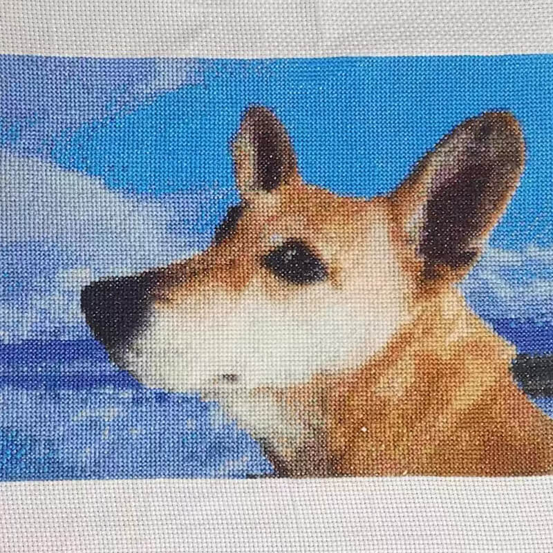 files/hobbyart-cross-stitch-customer-picture-display-3.jpg