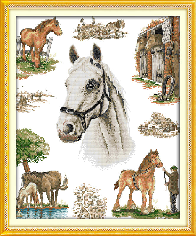 Horse Cross Stitch Kits D365