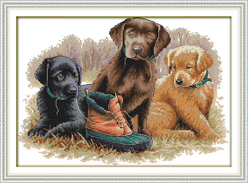 Dog Cross Stitch Kits D431