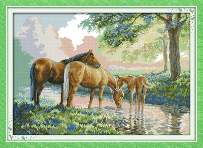 Horse Cross Stitch Kits D434