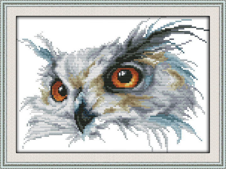 Owl Cross Stitch Kits D468