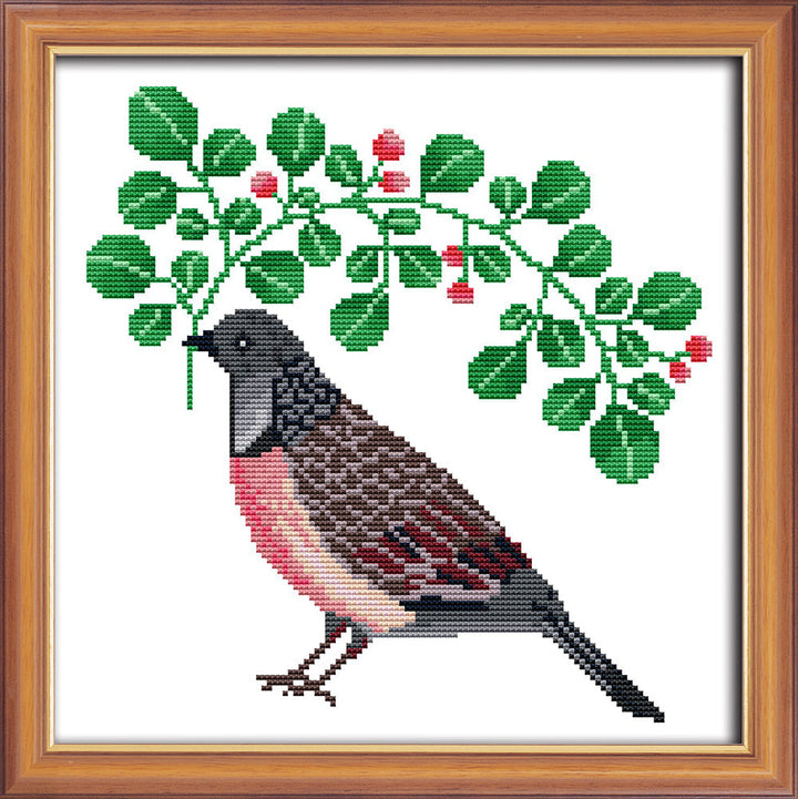 Bird Cross Stitch Kits DA030